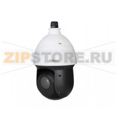 IP-камера Dahua DH-SD49225T-HN 