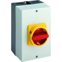 Переключатель кулачковый 63 А, 1x90°, 1 шт Sälzer B263-41300-710N4