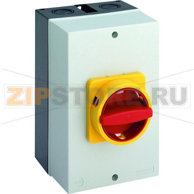 Переключатель кулачковый 63 А, 1x90°, 1 шт Sälzer B263-41300-710N4 
