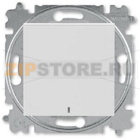 Переключатель одноклавишный с ориентировочной подсветкой, серый ABB 2CHH590646A6016