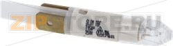 INDICATOR LAMP FAST 220/240V 