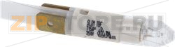 INDICATOR LAMP FAST 220/240V 