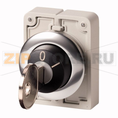 Переключатель с ключом, с фиксацией, 2 положения, MS3, 0, I Eaton M30C-FWRS-MS3 