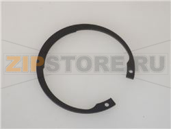 ANELLO SEEGER 62 