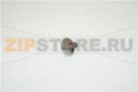 VITE M5X10 SUP.VASC.MGN/PORTA VETR.