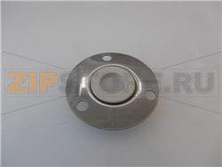 GUARNIZIONE TENUTA MOTORE 