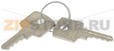 CHIAVE SERRATURA - 2 PZ. 