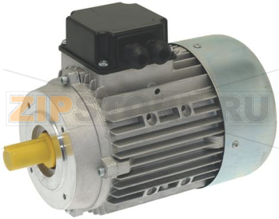 MOTORE IMPASTATRICE TF22 