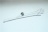 PARAFETTA