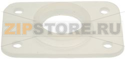 FLANGE GASKET 