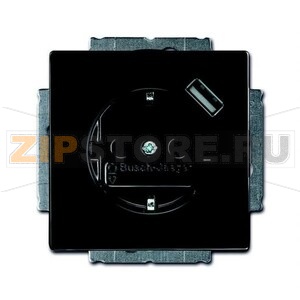 Розетка ABB 2CKA002011A6176 