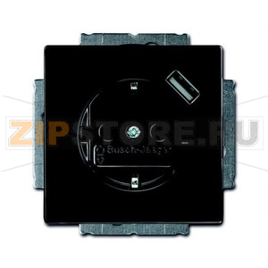 Розетка ABB 2CKA002011A6176 