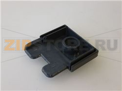 TESTATINA PORTA INFERIORE DX 