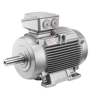 Низковольтный электродвигатель SIMOTICS DP для металлургии, IEC Squirrel-cage rotor, naturally cooled, IP55 IC410, with special insulation temperature class 155(F) according to 155(F) cast iron frame for converter operation 4-pole * Size 180M, * 11kW (50. 