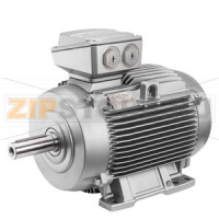Низковольтный электродвигатель SIMOTICS DP для металлургии, IEC Squirrel-cage rotor, naturally cooled, IP55 IC410, with special insulation temperature class 155(F) according to 155(F) cast iron frame for converter operation 4-pole * Size 180M, * 11kW (50.