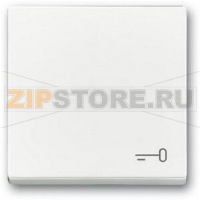 Клавиша выключателя c символом "Ключ", альпийский белый ABB 2CKA001751A3199