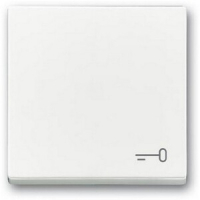 Клавиша выключателя c символом "Ключ", альпийский белый ABB 2CKA001751A3199