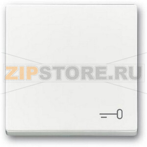 Клавиша выключателя c символом &quot;Ключ&quot;, альпийский белый ABB 2CKA001751A3199 