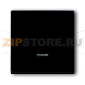 Клавиша для светорегулятора ABB 2CKA006599A2881 