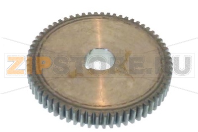 INGRANAGGIO             IS 8 16 