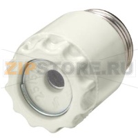 DIAZED ВИНТОВОЙ АДАПТЕР DIII 63A AC/DC 500В КЕРАМИЧЕСКИЙ Siemens 5SH113