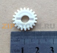 Gear NCR