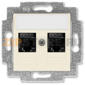 Розетка компьютерная, 2хRJ45, слоновая кость ABB 2CHH296118A6017 