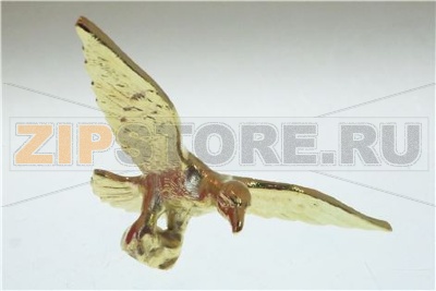 AQUILA GRANDE BAR PER VENUS 