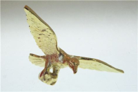 AQUILA GRANDE BAR PER VENUS