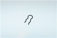 CLIP