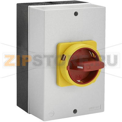 Переключатель кулачковый 63 А, 1x90°, 1 шт Sälzer B263-41300-710M4 
