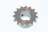 Pinion