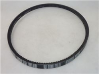 CINGHIA DENTATA 13AX790