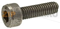 ВИНТ TCE M3X10