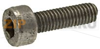ВИНТ TCE M3X10 