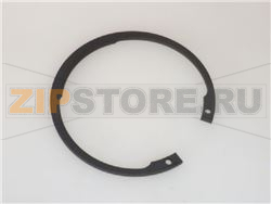 ANELLO SEEGER 1100 