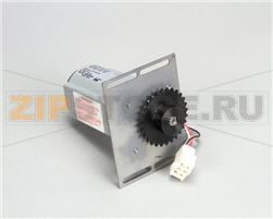 KIT DI RICAMBIO DEL MOTORE CON PIGNONE 