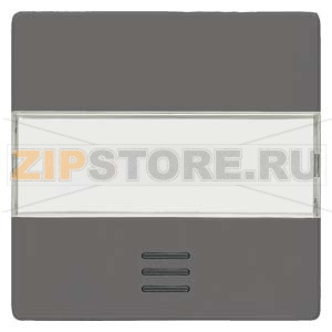 DELTA I-SYSTEM ЧЕРНЫЙ МЕТАЛЛИК ВЫКЛЮЧАТЕЛЬ 1 КЛАВИША С ОКНОМ И ПОЛЕМ ДЛЯ НАДПИСИ 55X55MM Siemens 5TG6231 