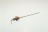 SONDA DI LIVELLO D2,5X107MM L TOT. 143MM