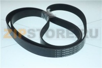 CORREA ESTR. 8PK2235