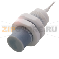 Датчик уровня наполнения емкостной, контактирующий со средой Balluff BCS0077