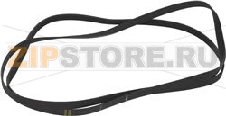 BELT 1975 H7 POLY V 