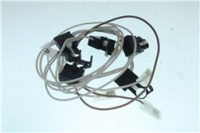 GR CATENR ACCS 5F PGF95 2