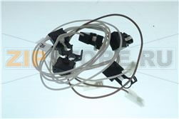 GR CATENR ACCS 5F PGF95 2 