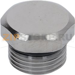 Bonnet Assembly Cap with O-R for Spray 