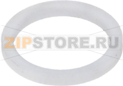 FLAT GASKET PTFE ø 21x16.8x2 mm 