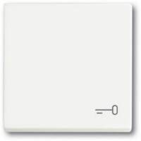 Клавиша выключателя c символом "Ключ", белый бархат ABB 2CKA001751A3201