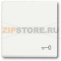 Клавиша выключателя c символом "Ключ", белый бархат ABB 2CKA001751A3201