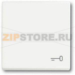 Клавиша выключателя c символом "Ключ", белый бархат ABB 2CKA001751A3201 