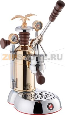 MACCHINA CAFFÈ ESPERTO COMPETENTE 230V 